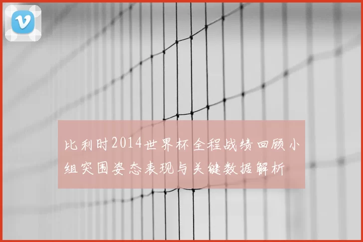 比利时2014世界杯全程战绩回顾小组突围姿态表现与关键数据解析