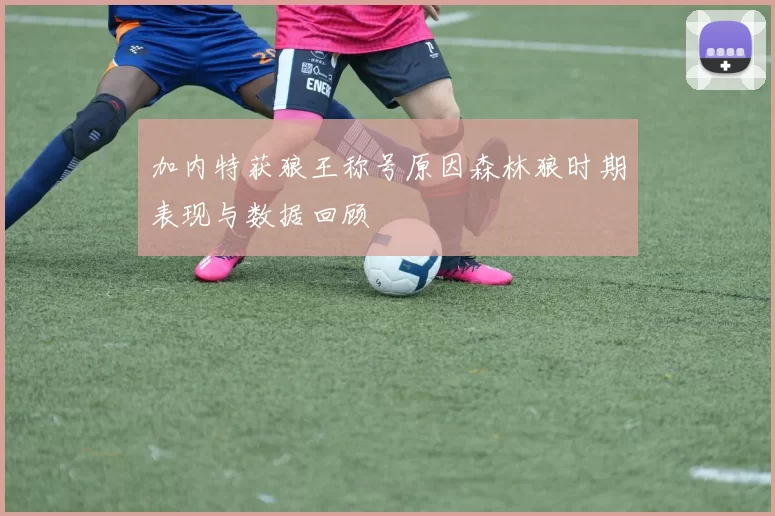 加内特获狼王称号原因森林狼时期表现与数据回顾