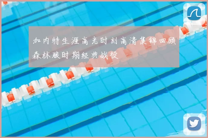 加内特生涯高光时刻高清集锦回顾森林狼时期经典战役