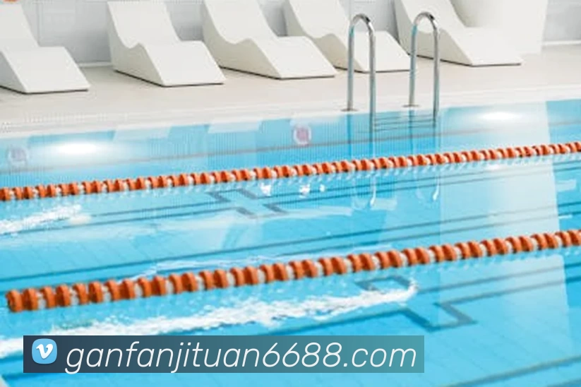 App Interface Preview